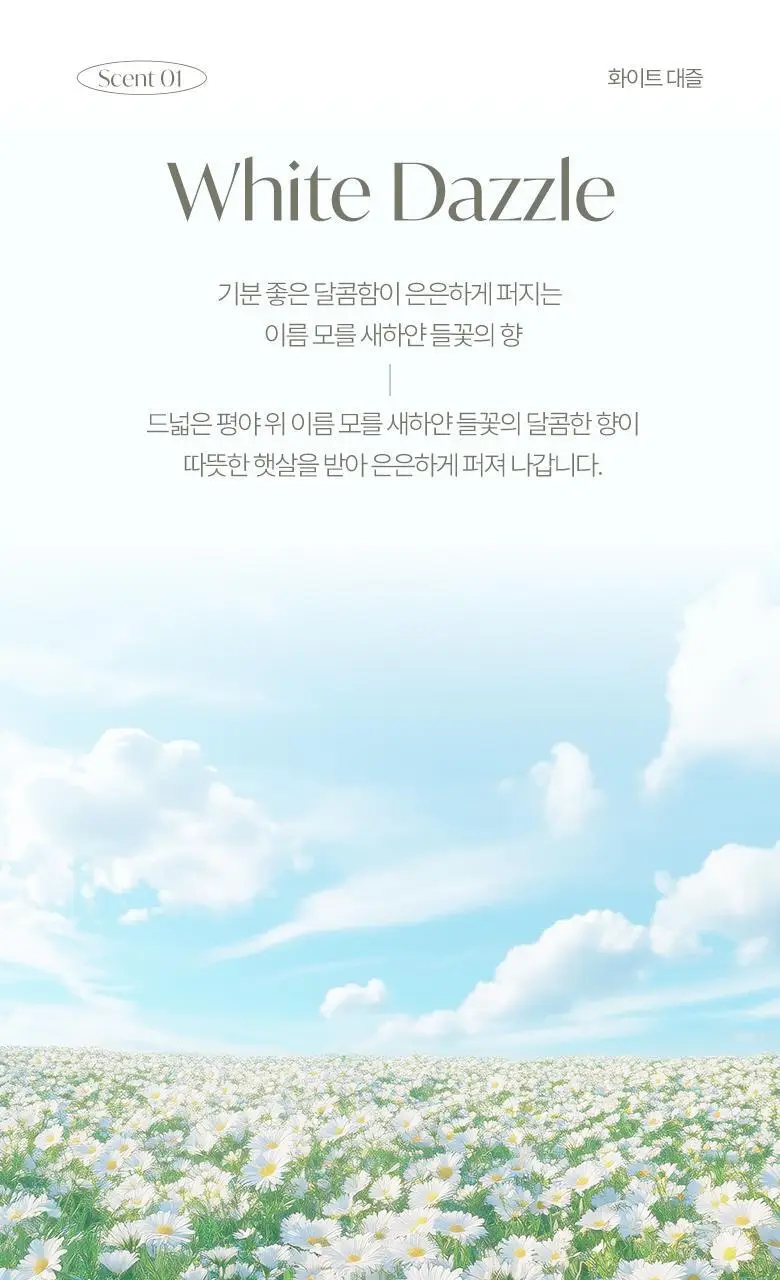 [산뜻수분] 라운드어라운드 센티드 핸드워시 300ml 2종 상세페이지 7